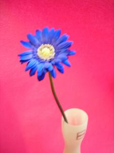 気合ですか。根性ですか。｜「フローリストふるうち」　（山形県米沢市の花キューピット加盟店 花屋）のブログ